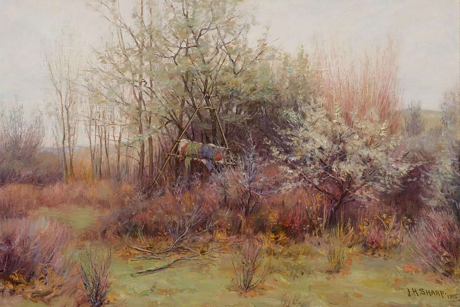 The Grave of a Crow Child; [Grave of Crow Papoose]